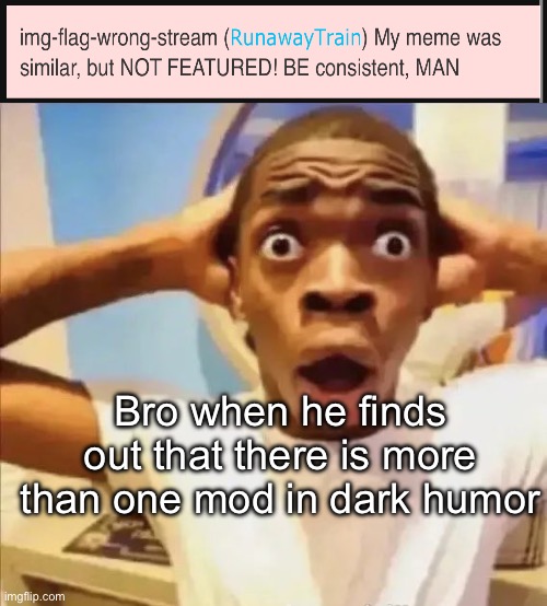 . | Bro when he finds out that there is more than one mod in dark humor | image tagged in flight reacts | made w/ Imgflip meme maker