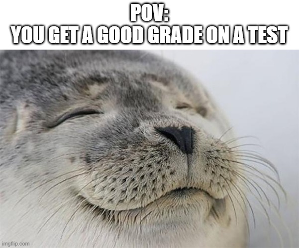 Satisfied Seal Meme | POV:
YOU GET A GOOD GRADE ON A TEST | image tagged in memes,satisfied seal,school memes | made w/ Imgflip meme maker