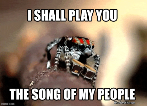 I Shall Play You The Song Of My People | image tagged in i shall play you the song of my people | made w/ Imgflip meme maker