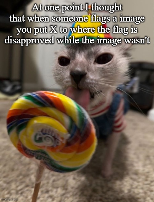 silly goober | At one point I thought that when someone flags a image you put X to where the flag is disapproved while the image wasn't | image tagged in silly goober | made w/ Imgflip meme maker