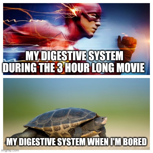 Tell me if this isn't the absolute truth | MY DIGESTIVE SYSTEM DURING THE 3 HOUR LONG MOVIE; MY DIGESTIVE SYSTEM WHEN I'M BORED | image tagged in fast vs slow,relatable,jpfan102504 | made w/ Imgflip meme maker