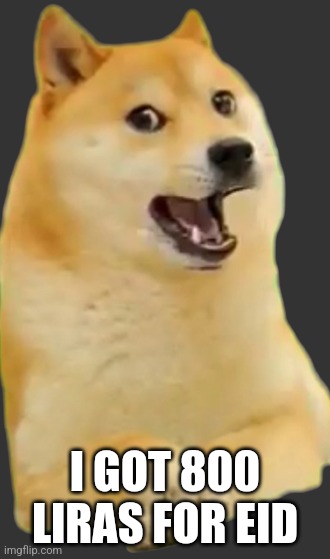lira is turkish currency | I GOT 800 LIRAS FOR EID | image tagged in doge happy | made w/ Imgflip meme maker