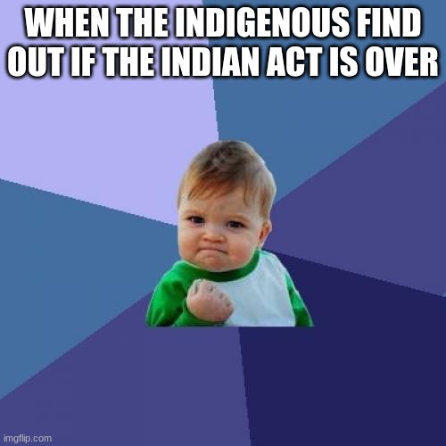 Just some Indigenous memes | WHEN THE INDIGENOUS FIND OUT IF THE INDIAN ACT IS OVER | image tagged in memes,success kid | made w/ Imgflip meme maker
