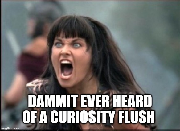 Screaming Woman | DAMMIT EVER HEARD OF A CURIOSITY FLUSH | image tagged in screaming woman | made w/ Imgflip meme maker