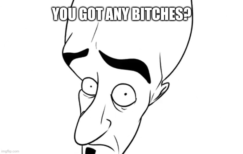 This dude wants some bitches. | YOU GOT ANY BITCHES? | image tagged in funny,memes,no bitches,megamind | made w/ Imgflip meme maker