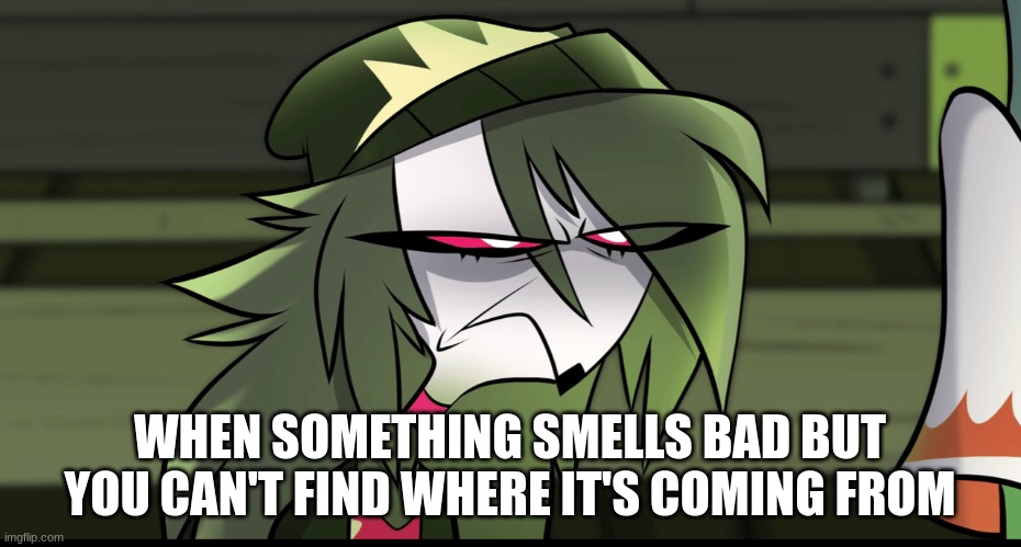 fr | WHEN SOMETHING SMELLS BAD BUT YOU CAN'T FIND WHERE IT'S COMING FROM | image tagged in funny | made w/ Imgflip meme maker