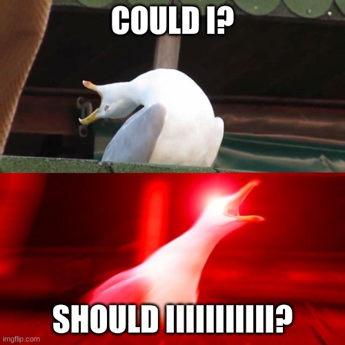 Inhales Seagull | COULD I? SHOULD IIIIIIIIIII? | image tagged in inhales seagull,the ghost of you,mcr,my chemical romance | made w/ Imgflip meme maker