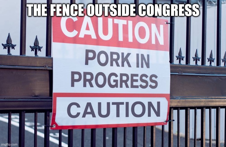 THE FENCE OUTSIDE CONGRESS | made w/ Imgflip meme maker