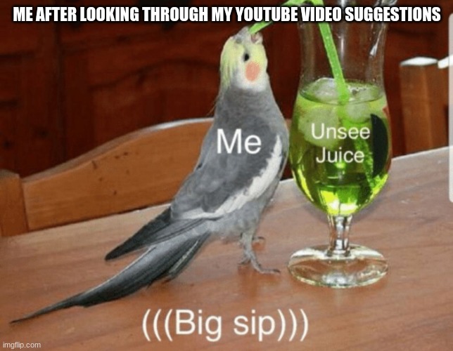 MY EYES!!! | ME AFTER LOOKING THROUGH MY YOUTUBE VIDEO SUGGESTIONS | image tagged in unsee juice | made w/ Imgflip meme maker