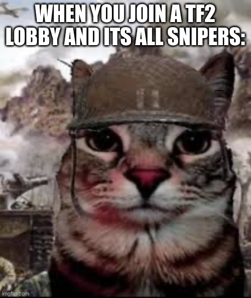 1000 yard stare cat | WHEN YOU JOIN A TF2 LOBBY AND ITS ALL SNIPERS: | image tagged in 1000 yard stare cat | made w/ Imgflip meme maker