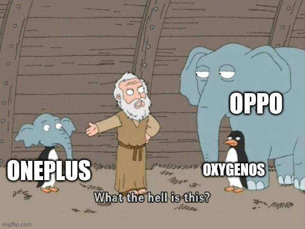 How Oneplus phones makes | OPPO; OXYGENOS; ONEPLUS | image tagged in what the hell is this | made w/ Imgflip meme maker