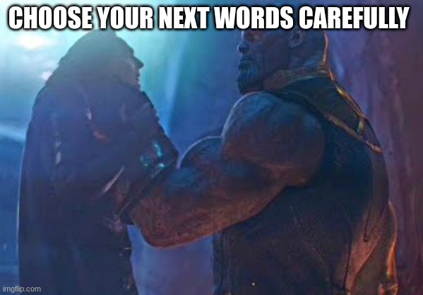 You should choose your words more carefully | CHOOSE YOUR NEXT WORDS CAREFULLY | image tagged in you should choose your words more carefully | made w/ Imgflip meme maker