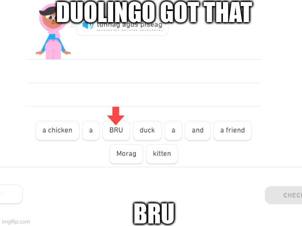 Duolingo | DUOLINGO GOT THAT; BRU | image tagged in duolingo | made w/ Imgflip meme maker
