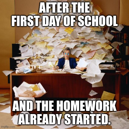 homework | AFTER THE FIRST DAY OF SCHOOL; AND THE HOMEWORK ALREADY STARTED. | image tagged in busy | made w/ Imgflip meme maker