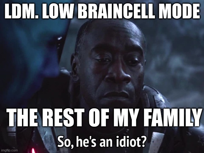 -_- | LDM. LOW BRAINCELL MODE; THE REST OF MY FAMILY | image tagged in so he s an idiot | made w/ Imgflip meme maker