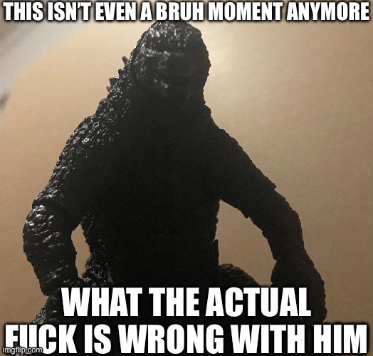 This isn’t even a bruh moment anymore (Godzilla) | HIM | image tagged in this isn t even a bruh moment anymore godzilla | made w/ Imgflip meme maker