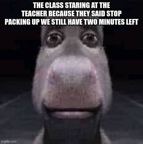 Donkey staring | THE CLASS STARING AT THE TEACHER BECAUSE THEY SAID STOP PACKING UP WE STILL HAVE TWO MINUTES LEFT | image tagged in donkey staring | made w/ Imgflip meme maker