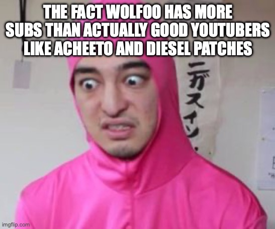 Pink Guy Discusted | THE FACT WOLFOO HAS MORE SUBS THAN ACTUALLY GOOD YOUTUBERS LIKE ACHEETO AND DIESEL PATCHES | image tagged in pink guy discusted | made w/ Imgflip meme maker