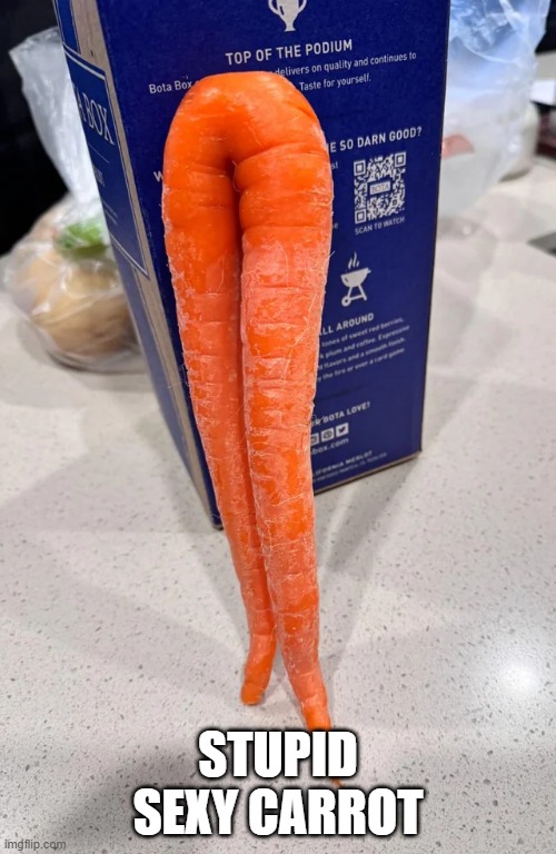 Carrot | STUPID SEXY CARROT | image tagged in sex jokes | made w/ Imgflip meme maker