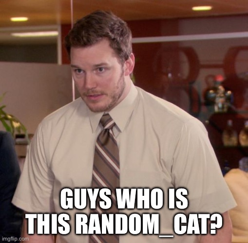 Afraid To Ask Andy | GUYS WHO IS THIS RANDOM_CAT? | image tagged in memes,afraid to ask andy | made w/ Imgflip meme maker