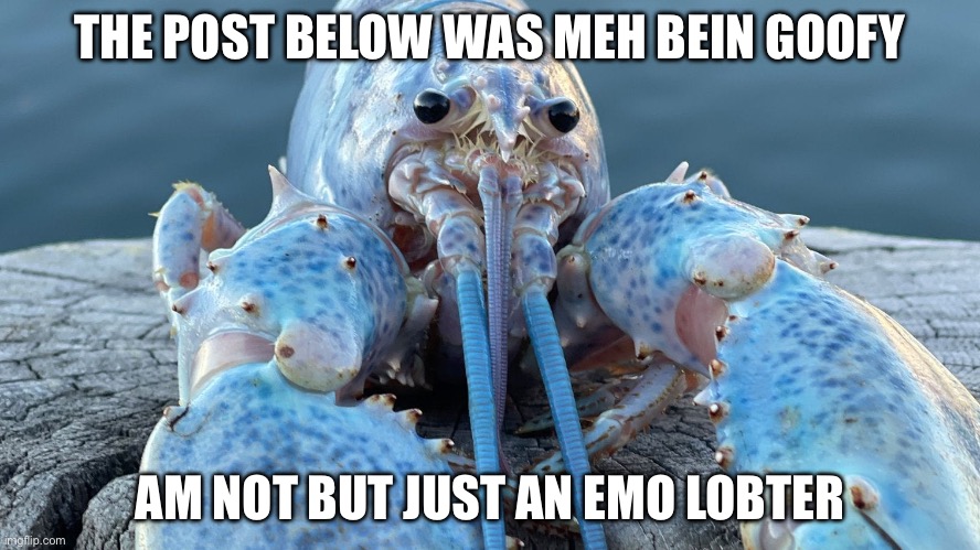 Blue Lobster | THE POST BELOW WAS MEH BEIN GOOFY; AM NOT BUT JUST AN EMO LOBTER | image tagged in blue lobster | made w/ Imgflip meme maker