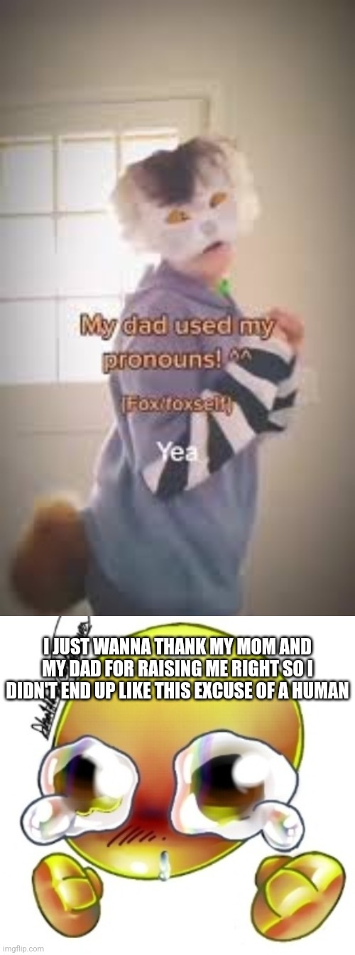 I JUST WANNA THANK MY MOM AND MY DAD FOR RAISING ME RIGHT SO I DIDN'T END UP LIKE THIS EXCUSE OF A HUMAN | image tagged in ggghhhhhghghghhhgh | made w/ Imgflip meme maker