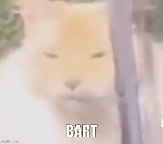 BART | made w/ Imgflip meme maker