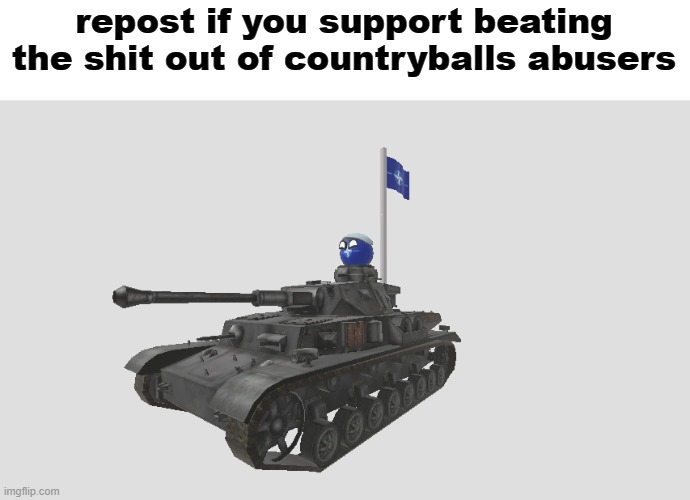 High Quality repost if you support beating the shit out of countryballs hater Blank Meme Template