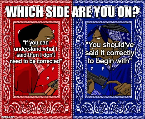 WHICH SIDE ARE YOU ON? | "If you can understand what I said then I don't need to be corrected"; "You should've said it correctly to begin with" | image tagged in which side are you on | made w/ Imgflip meme maker