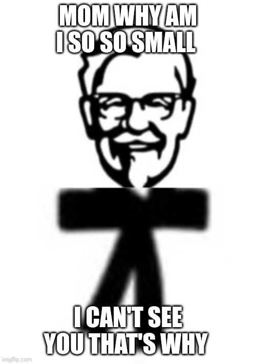 KFC Big Body | MOM WHY AM I SO SO SMALL; I CAN'T SEE YOU THAT'S WHY | image tagged in kfc big body | made w/ Imgflip meme maker