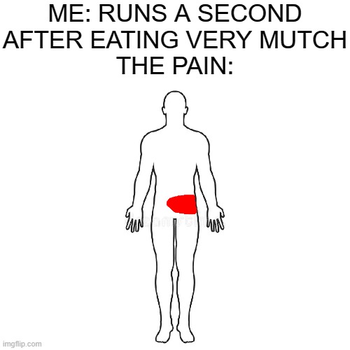 ME: RUNS A SECOND AFTER EATING VERY MUTCH
THE PAIN: | image tagged in pain | made w/ Imgflip meme maker