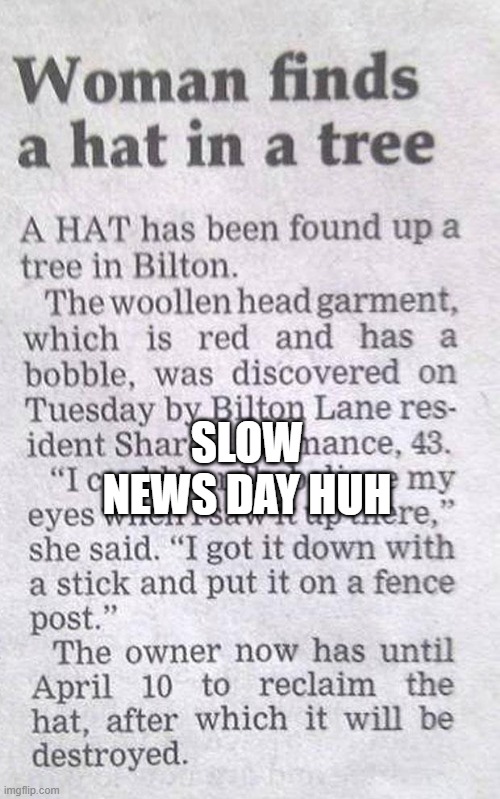 Hat in a Tree | SLOW NEWS DAY HUH | image tagged in headlines | made w/ Imgflip meme maker