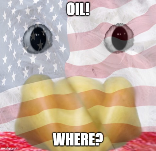 OIL? WHERE? | OIL! WHERE? | image tagged in america,american flag,oil,usa,cursed image,where | made w/ Imgflip meme maker