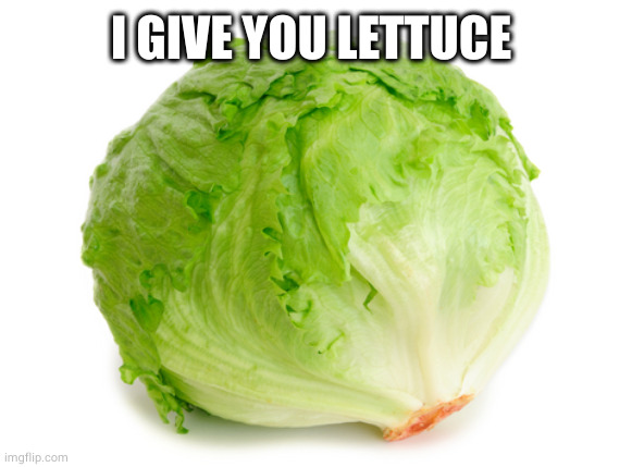 Lettuce  | I GIVE YOU LETTUCE | image tagged in lettuce | made w/ Imgflip meme maker