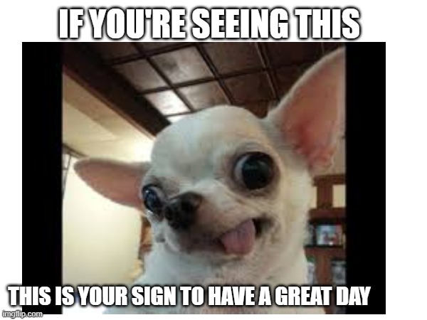 :) | IF YOU'RE SEEING THIS; THIS IS YOUR SIGN TO HAVE A GREAT DAY | image tagged in fun | made w/ Imgflip meme maker