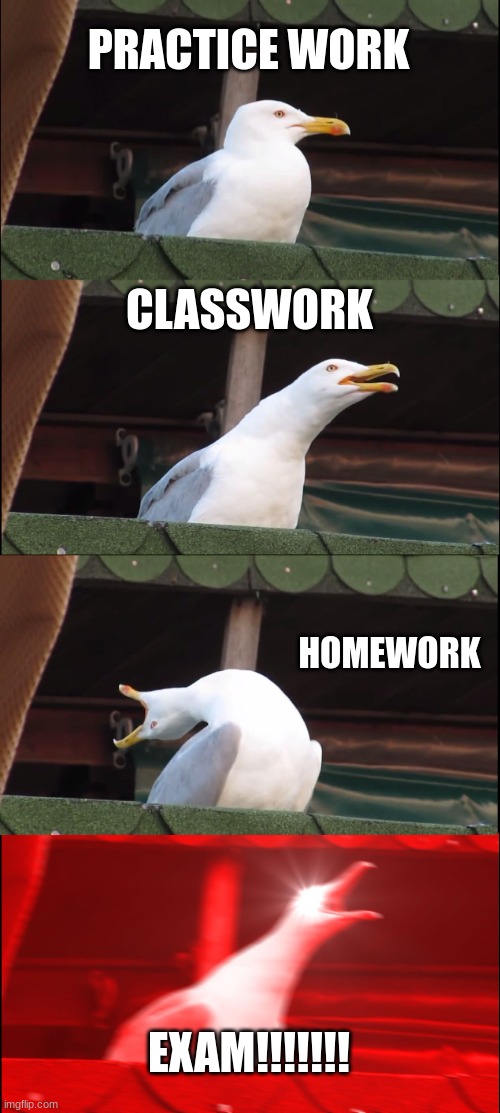 (blank) | PRACTICE WORK; CLASSWORK; HOMEWORK; EXAM!!!!!!! | image tagged in memes,inhaling seagull,school,homework | made w/ Imgflip meme maker