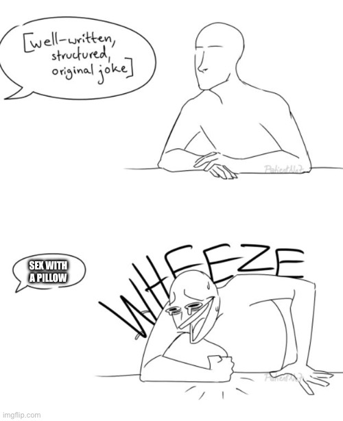 Wheeze | SEX WITH A PILLOW | image tagged in wheeze | made w/ Imgflip meme maker