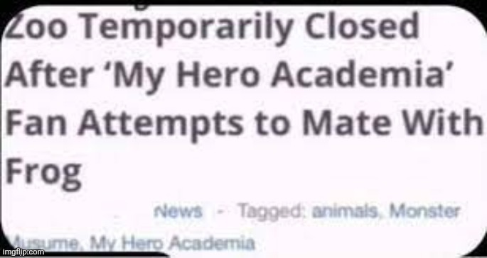 Most sane MHA fan: | made w/ Imgflip meme maker