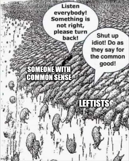 Heading For the Slaughter | SOMEONE WITH COMMON SENSE; LEFTISTS | image tagged in memes,politics,leftists | made w/ Imgflip meme maker