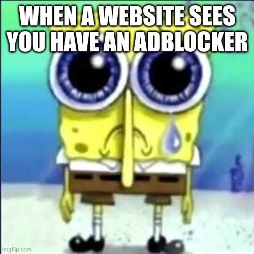 Sad Spongebob | WHEN A WEBSITE SEES YOU HAVE AN ADBLOCKER | image tagged in sad spongebob | made w/ Imgflip meme maker