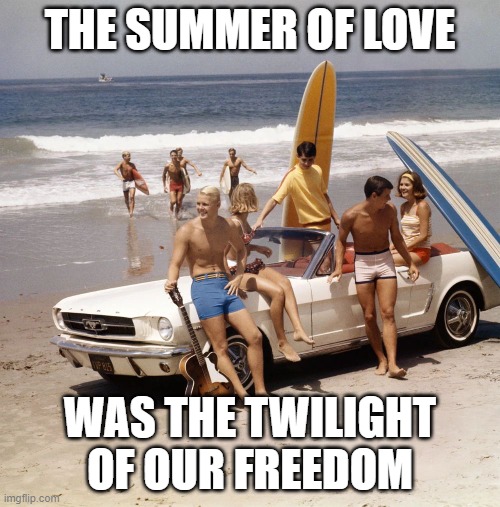 Summer of Love | THE SUMMER OF LOVE; WAS THE TWILIGHT OF OUR FREEDOM | image tagged in freedom of speech | made w/ Imgflip meme maker