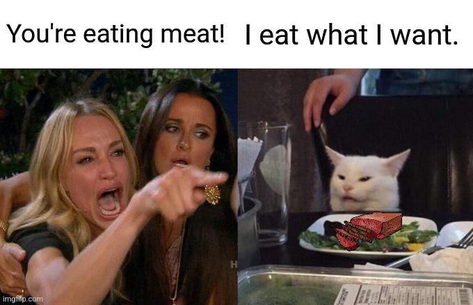 Woman Yelling At Cat Meme | You're eating meat! I eat what I want. | image tagged in memes,woman yelling at cat | made w/ Imgflip meme maker