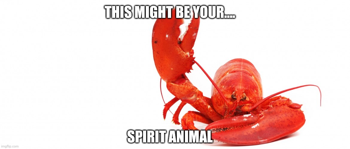 Spirit animal | THIS MIGHT BE YOUR.... SPIRIT ANIMAL | image tagged in lobster | made w/ Imgflip meme maker