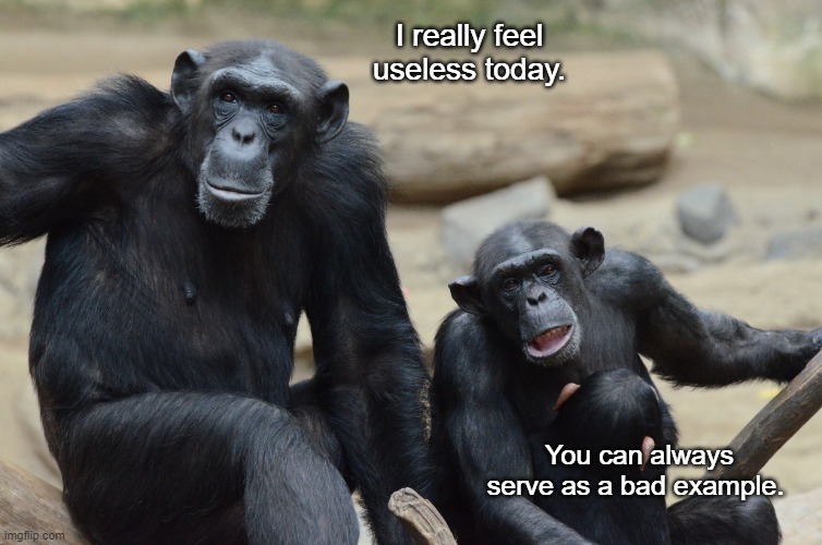 Monkey discussion | I really feel useless today. You can always serve as a bad example. | image tagged in office humor | made w/ Imgflip meme maker
