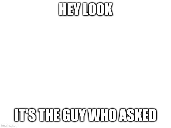 Blank White Template | HEY LOOK IT'S THE GUY WHO ASKED | image tagged in blank white template | made w/ Imgflip meme maker