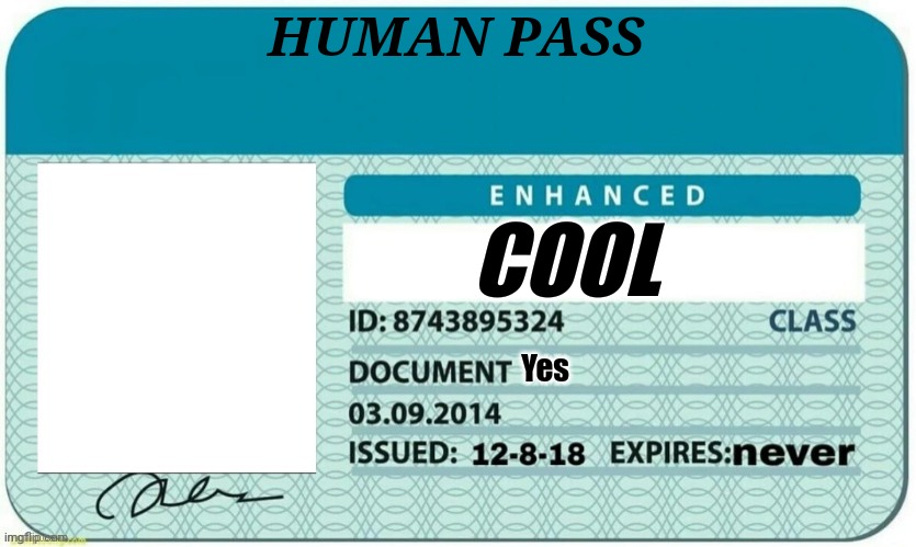 Horrible image (no longer considerd a meme) | HUMAN PASS; COOL; Yes | image tagged in blank license | made w/ Imgflip meme maker