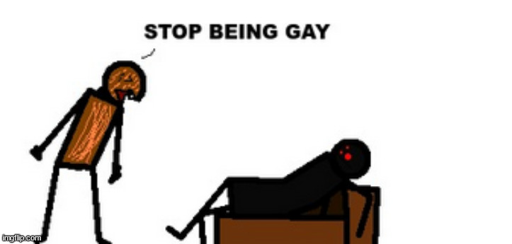 @the whole stream | image tagged in stop being gay spdr | made w/ Imgflip meme maker
