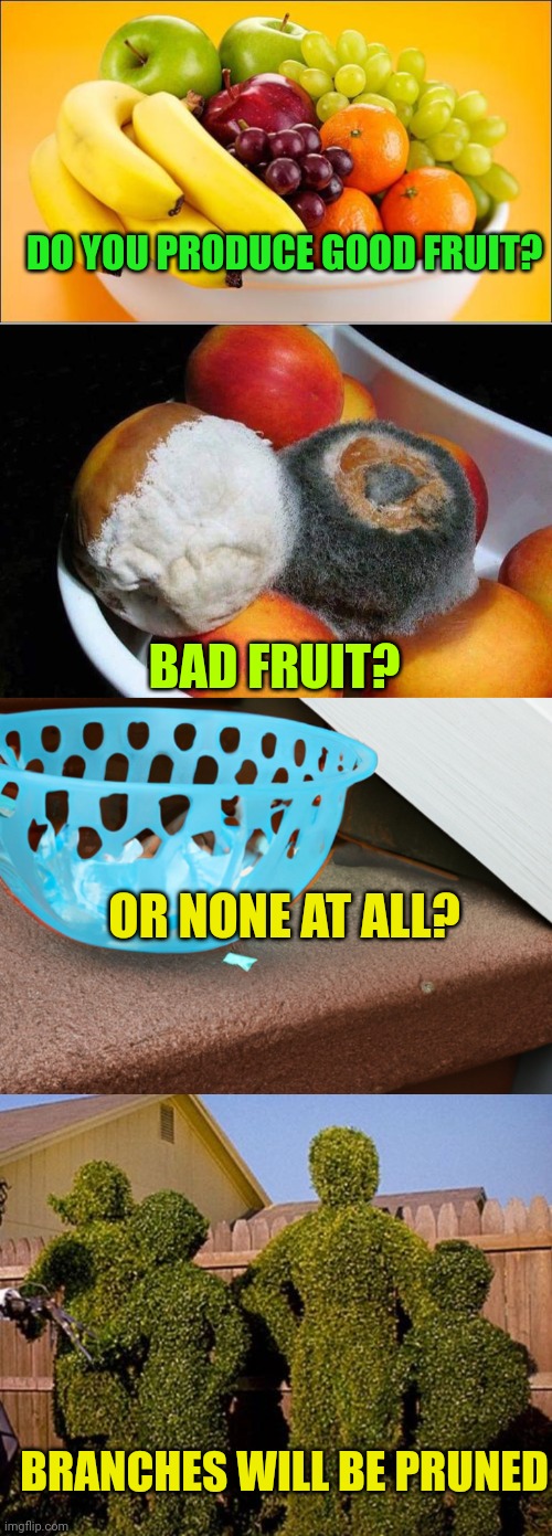 DO YOU PRODUCE GOOD FRUIT? BAD FRUIT? OR NONE AT ALL? BRANCHES WILL BE PRUNED | image tagged in need a fruit,rotten fruit meme,empty candy bowl on door step,edward scissorhands cutting people off | made w/ Imgflip meme maker