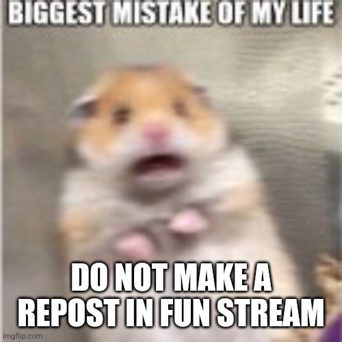 Worst mistake of my life | DO NOT MAKE A REPOST IN FUN STREAM | image tagged in worst mistake of my life | made w/ Imgflip meme maker