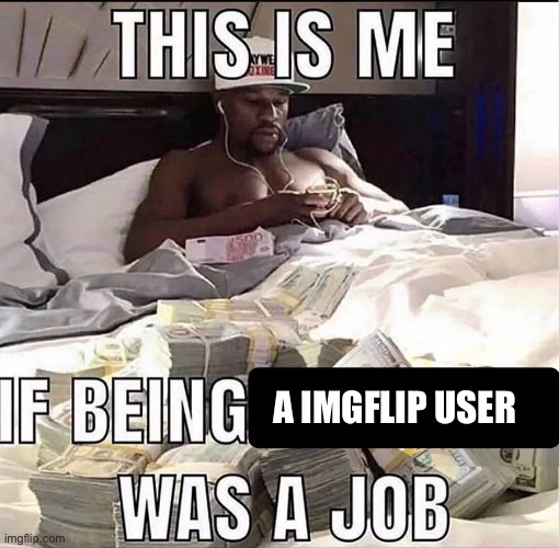 This is me If being X was a job | A IMGFLIP USER | image tagged in this is me if being x was a job | made w/ Imgflip meme maker